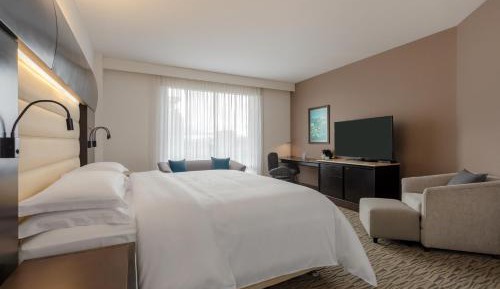 King Room with Roll-In Shower - Mobility Accessible