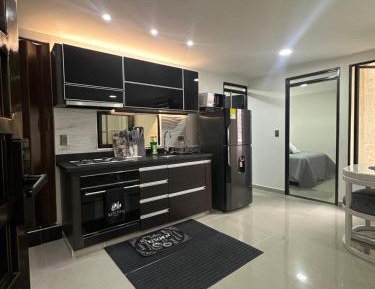 Deluxe One-Bedroom Apartment