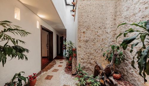 Apartment with Garden View