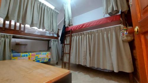 Bed in 4-Bed Dormitory Room