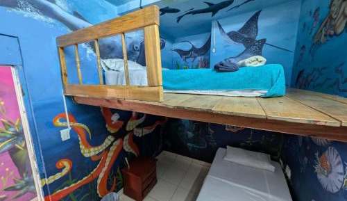 Bunk Bed in Mixed Dormitory Room