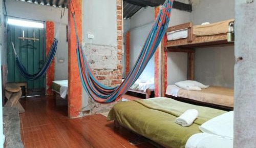 Bed in 4-Bed Mixed Dormitory Room