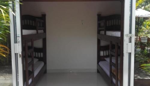 Bed in 4-Bed Mixed Dormitory Room