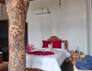 Standard Double Suite