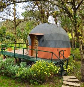 Double Room with Terrace