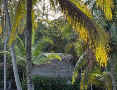 Bungalow - Beach Front