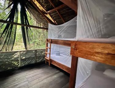 Bed in 10-Bed Mixed Dormitory Room