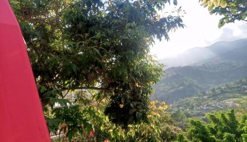 Double Room with Mountain View