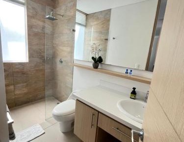 One-Bedroom Deluxe Apartment