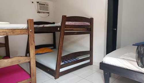 Single Bed in 4-Bed Dormitory Room
