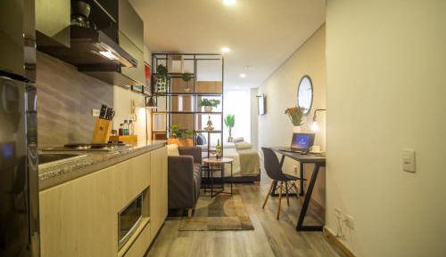 One-bedroom Loft Apartment 