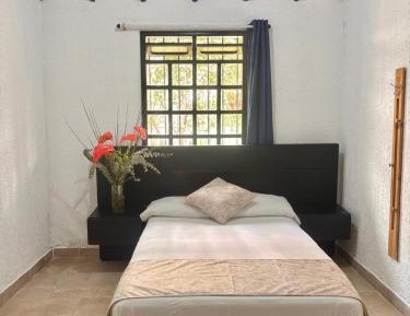 Economy Single Room