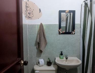 Single Bed in Dormitory Room