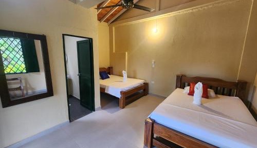 Large Double Room