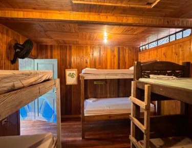 Single Bed in Mixed Dormitory Room