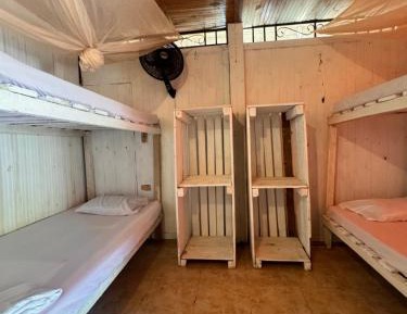 Bed in 8-Bed Dormitory Room