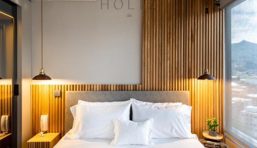 Deluxe One-Bedroom Apartment with City View