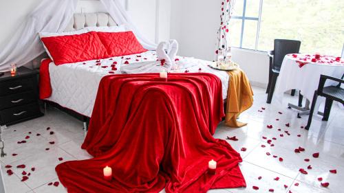 Superior Queen Room