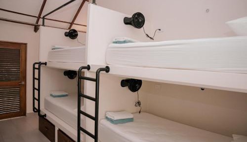 Single Bed in Female Dormitory Room