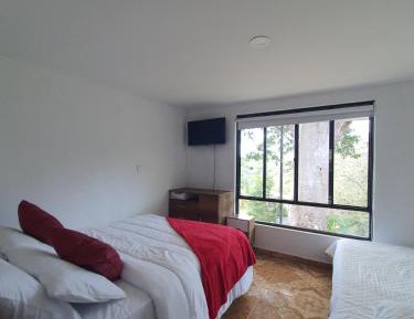 Triple Room with Mountain View