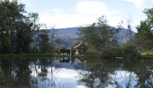 Bungalow (3-5 Adults)