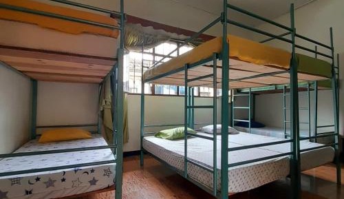 Bed in 8-Bed Mixed Dormitory Room