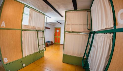 Bed in 6-Bed Mixed Dormitory Room