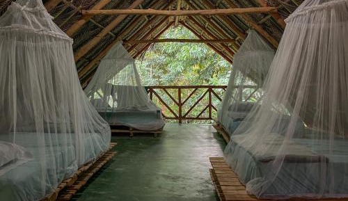 Single Bed in Mixed Dormitory Room