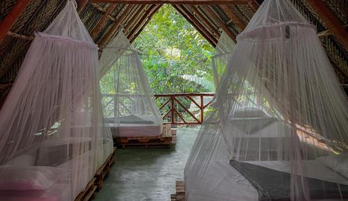 Single Bed in Mixed Dormitory Room