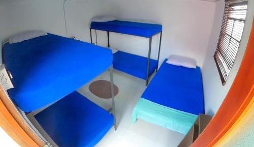 Twin Room with Private Bathroom