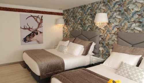 Duplex Suite