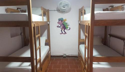 Bed in 4-Bed Dormitory Room