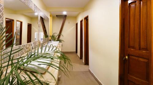 Bed in 6-Bed Mixed Dormitory Room
