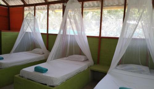 Single Bed in Dormitory Room