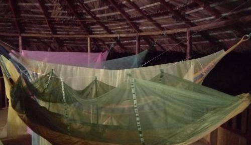 Hammock