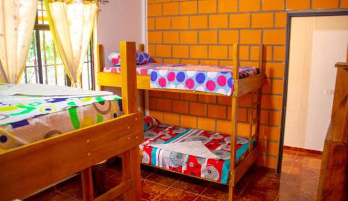 Bed in 4-Bed Dormitory Room