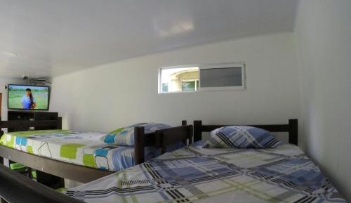 Single Bed in Mixed Dormitory Room