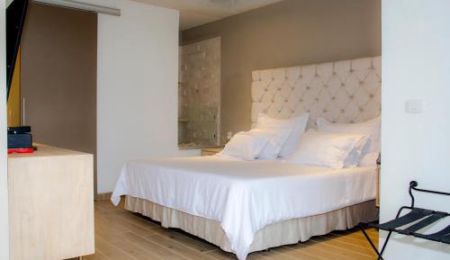 Deluxe King Suite