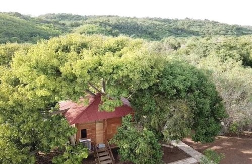 Bocachica Hotel | HONEY BARU