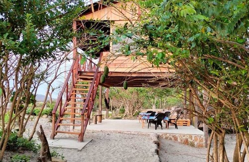 Piojo Hostel | Tambo Marina Ecohostal - Hostel