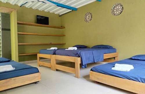 Piojo Hostel | Tambo Marina Ecohostal - Hostel