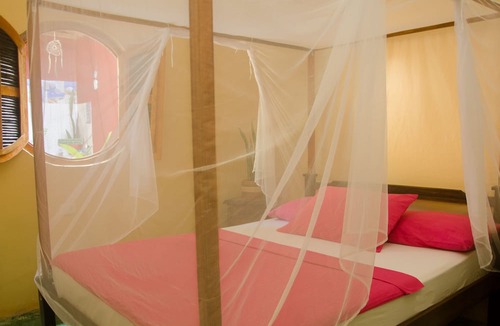 Palomino Hostel | Corazón de Tagua
