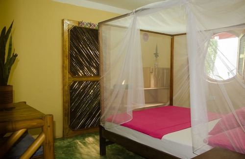 Palomino Hostel | Corazón de Tagua