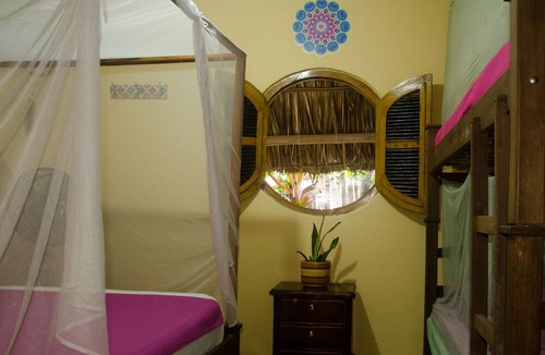 Palomino Hostel | Corazón de Tagua