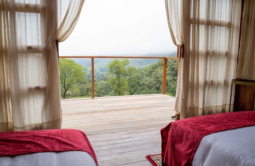 Salento Cabin | Finca Los Arboles