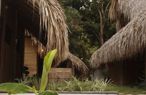 Palomino Hostel | Eco-Hostel La esquina Lejana