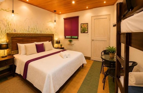 Zona Rosa Hostel | Stay La 10 Hotel