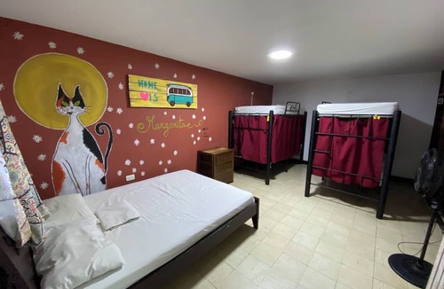 Cali Hostel | The Pelican Larry Hostel