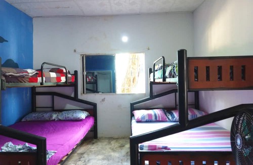 Bonda Hostel | eco hostal punto del sabor