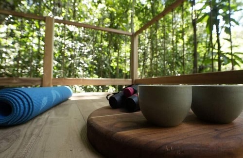 San Carlos Cabin | Montés Samaná